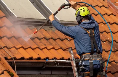 Démoussage et hydrofuge de toiture à Vaux-en-Bugey